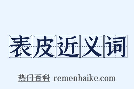 表皮近义词是什么意思的图片